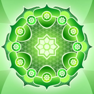 Animal theta healing classes and animal communication