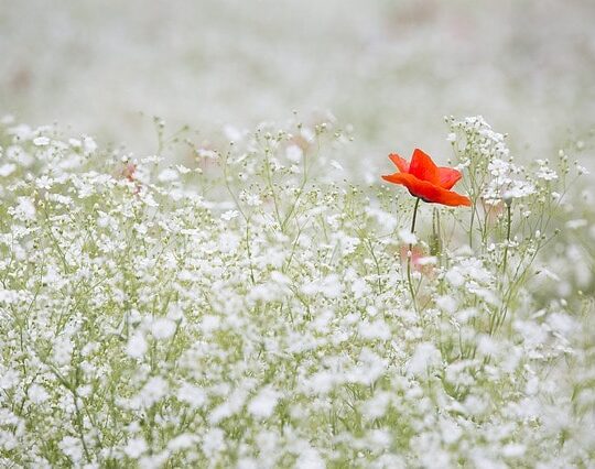 6 Reasons Why Your Manifestations Are Not Working