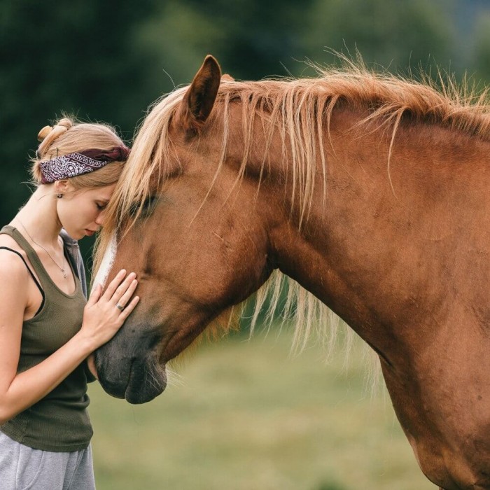 Animal Communication Session