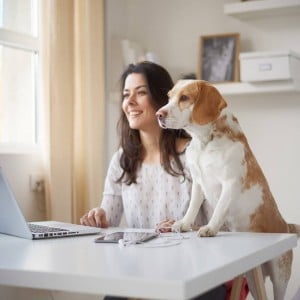 dog animal communication sessions